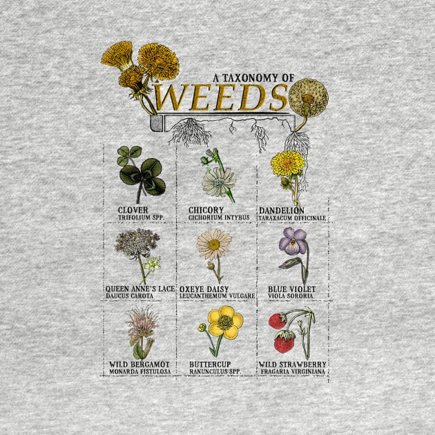 Weeds, An Incomplete Taxonomy by Maiden Names